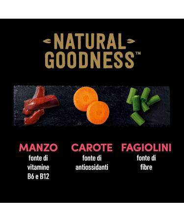 Cesar Natural Goodness Wet Dog Food with Beef & Vegetables - 6 Cans (400g Each) | 2.4kg Total - Premium Pet Nutrition - Buy Online on GoSupps.com
