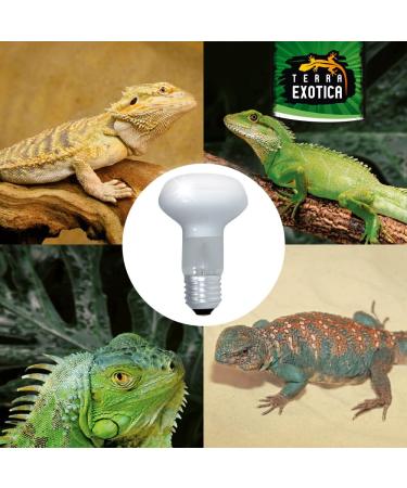 Terra Exotica 100W Heat Spot 3 Pack - Ideal Reptile Terrarium Lighting & Heat Lamps - 25W to 150W Options Available - Buy Online on GoSupps.com