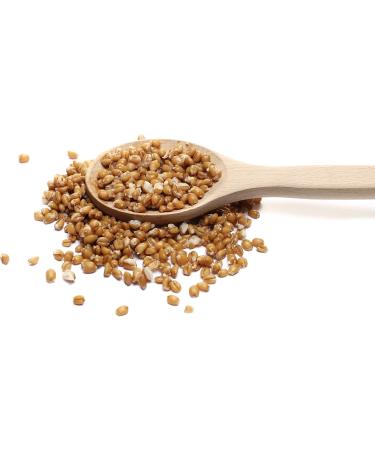  TASTY POTT Tasty Pott Organic Roasted Spicy Soy Snack | Soy-based | Snacking | Crunchy Mix | Chip Alternative | Vegan | Soy in a 1000g bag - Buy Online on GoSupps.com