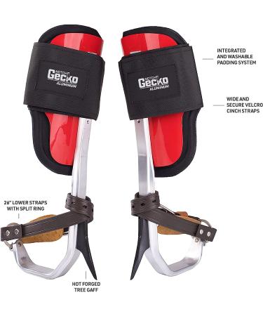 Notch Gecko Classic Aluminum Climbers (40929T) - Tree Gaffs with Straps | Buy Online - Buy Online on GoSupps.com
