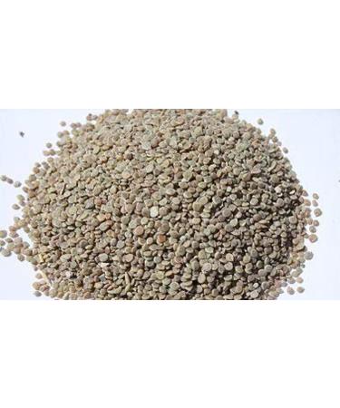 RAW HERB/JADI BOOTI TODRI WHITE SEEDS TUDRI SAFED BEEJ MATTHIOLA INCANA (100gm) - Buy Online on GoSupps.com