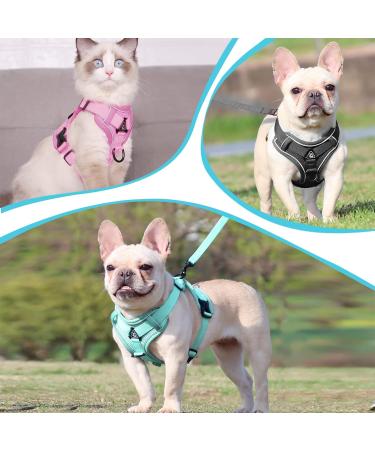 Adjustable Cat Dishes for Cats & Kittens - Black - Optimal Feeding Solution for Dogs & Puppies - Buy Online on GoSupps.com