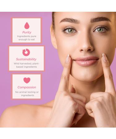 Ellovi Natural Lip Butter Lip Balm - Lavender - Pure Enough to Eat - Made With Just 6 Vegan Ingredients - Moisturizing Lip Care for All Day Hydration (3-Pack) - Buy Online on GoSupps.com