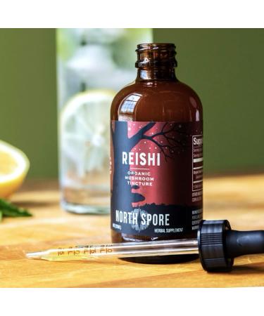 North Spore Reishi Mushroom Extract Tincture | High Potency Organic Ganoderma lucidum, 100% Fruiting Bodies | Non-GMO, Vegan - 4oz 4 Fl Oz (Pack of 1) - Buy Online on GoSupps.com