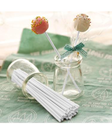 Lollipop Sticks 500 Pieces White Paper Treat Lollipop Sticks Lollipop Treat Sticks Sucker Stick for Cake Topper Rainbow Candy Cake Pops Chocolate (6 Inch) - Buy Online on GoSupps.com