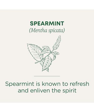 Traditional Medicinals - Organic Spearmint Herbal Tea (Pack of 6) - Refreshing and Minty - 96 Tea Bags Total Tea Spearmint 16 Count (Pack of 6) - Buy Online on GoSupps.com