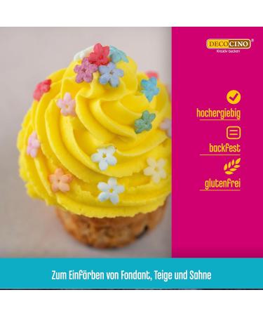 Decocino Color Paste Set - 6 Azo-Free & Gluten-Free Food Colors for Cakes Fondant & Creams | Red Pink Green Yellow Blue Black - International Shipping - Buy Online on GoSupps.com
