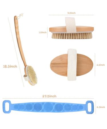 Set of 3 Dry Body Shower Brushes for Cellulite Reduction and Lymphatic Drainage - Buy Online on GoSupps.com