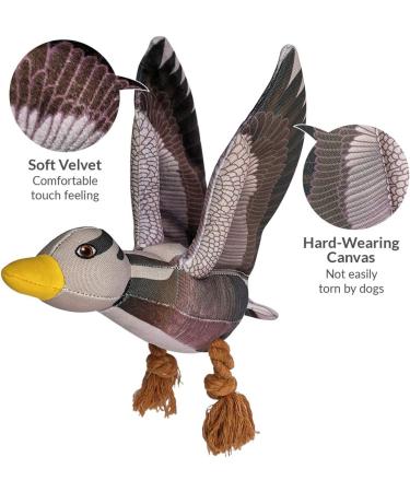 Shop Aquatic Human Squeaky Dog Toys - Crocodile Parrot Lizard & Wild Goose for All Dog Sizes - Buy Online on GoSupps.com