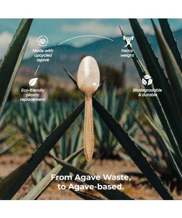 Sustainable Agave Co - Agave Fiber Spoons - Plastic-Free Biodegradable Compostable Plant-Based - Brown Bulk - 500 Count - Buy Online on GoSupps.com