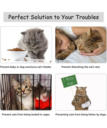 Cat Door Holder Latch - Keep Dogs Out, Cats In! Baby Proof, Easy Install (2 Pack) - Buy Online on GoSupps.com