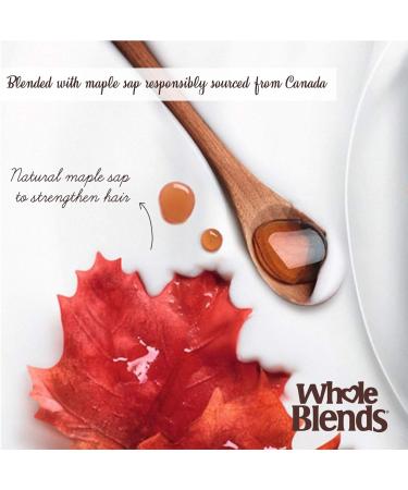 Garnier Whole Blends Conditioning Milk Restoring Maple 250 Milliliters - Buy Online on GoSupps.com