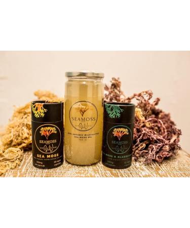 Premium Raw Sea Moss (Gold) 1kg - Pack of 1 | High-Quality Superfood - Buy Online on GoSupps.com