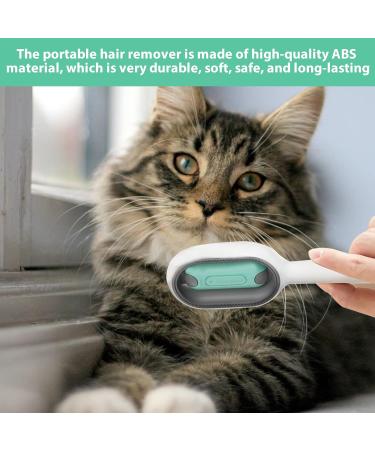 1PCS Cat Brush With Water Tank Cat Grooming Brush Or Dogs And Cats Portable Professional Cat Brushes For Grooming And Cleaning - Buy Online on GoSupps.com