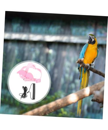 DOITOOL 3 Sets Bird Leash Suspend Parrot Harness and Leash Conure Birds Flying Harness Kit Gecko 12X6X1.3CMx3pcs Pinkx3pcs - Buy Online on GoSupps.com