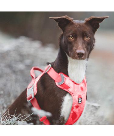 Hurtta Weekend Warrior Dog Harness - Coral Camo | Best Fit 18-24 in (45.7-61 cm) for Active Dogs - International Shipping Available - Buy Online on GoSupps.com