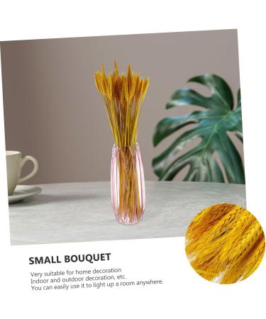 TOPBATHY Wheat Ear 200 Pcs Dried Wheat Ears Bouquet Barley Gift Dried Flowers. Wheat Ears Decor Yellowx2pcs 52X10CMx2pcs - Buy Online on GoSupps.com