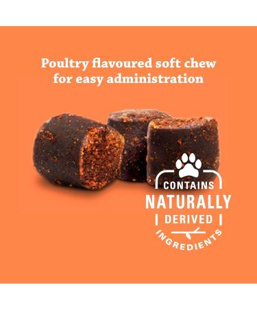 Synovi G4 Dog Joint Supplement Chews for Dogs of All Ages Sizes and Breeds-120 Chews - Buy Online on GoSupps.com