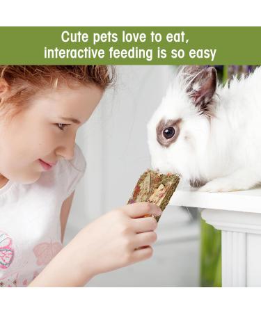 ABIZOO HASE KOTH THE: 10 Natural Rabbit Tears & Herbal Treats - Timothy Hay Toy for Dwarf Rabbits Guinea Pigs Chinchillas & Hamsters - Buy Online on GoSupps.com