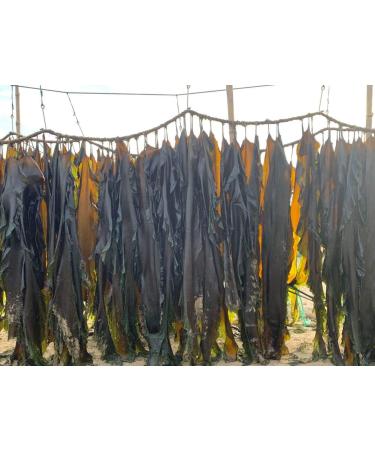 Laminaria Japonica Dried Seaweed Leaf for Seaweed Kombu Kelp Flakes Seaweed Leaves (500g) - Buy Online on GoSupps.com