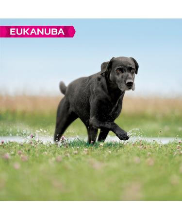 Eukanuba - Large Breed (Senior) Dog Food - Rich in Fresh Chicken - For Optimal Body Health - Buy Online on GoSupps.com
