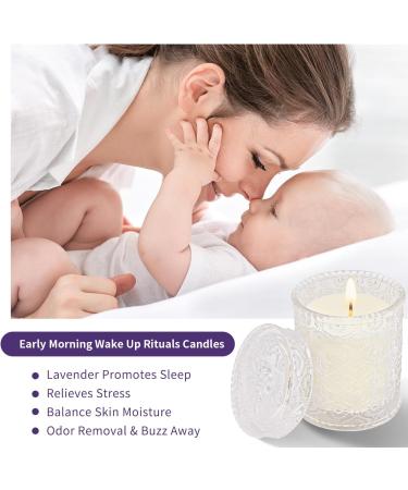 Lavender Scented Candle in Glass Jar | 200g Natural Soy Wax | 50h Long Lasting Burn Time | Aromatherapy Gift for Women | Home Scented for Christmas & Valentine's Day - Buy Online on GoSupps.com