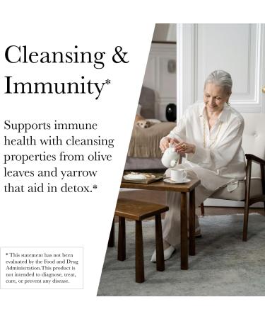 Kroeger Herb Products Olive Leaf Extract Capsules for Immune System Olive Leaf & Yarrow Supplement Vegetarian Non-GMO Gluten Free No Preservatives - 100 Capsules Made in USA - Buy Online on GoSupps.com