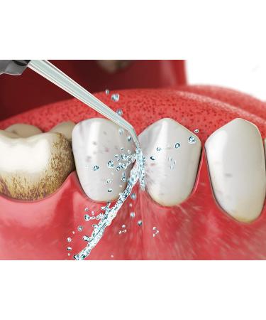 Portable Dental Water Flosser - Cordless Oral Irrigator | FineLife Products | Rechargeable Teeth Cleaner with 3 Modes - Silver - Buy Online on GoSupps.com