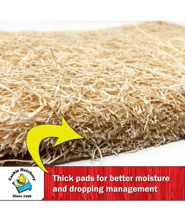 Cackle Hatchery Laying Hen Nest Box Pads - 13x13 (6 Pack) | Premium Quality - Buy Online on GoSupps.com