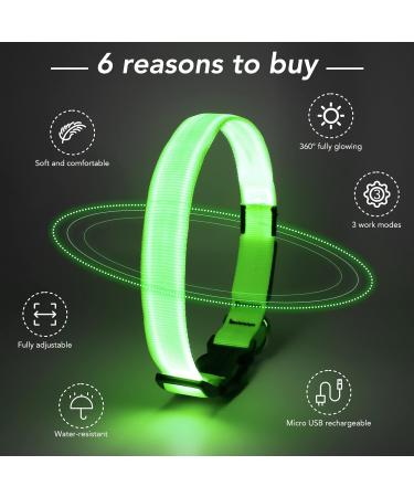 KOSKILL LED Dog Collar - Waterproof USB Rechargeable Adjustable Brightness for Medium Dogs (Green M) - Buy Online on GoSupps.com