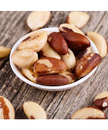 Roasted & Salted Brazil Nuts - 15oz Resealable Pouch | Freshly Roasted Daily Snack | Vegan, Keto & Paleo Friendly | High Protein & Minerals | Kosher Certified - Buy Online on GoSupps.com