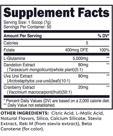 L-Glutamine Peach Mango - 50 Servings | 5g L-Glutamine Per Serving | Stevia-Sweetened | International Shipping Available - Buy Online on GoSupps.com