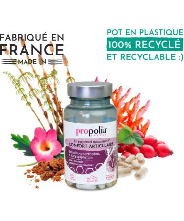 PROPOLIA - Joint comfort - Joints - Mobility - Cartilage & Bones - Propolis Rose hips & Harpagophytum - Food supplement- Made in France - 90 capsules - 1 month - Buy Online on GoSupps.com