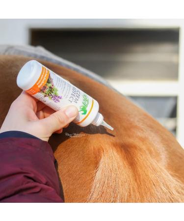 Boots EczemProtect for Horses - High-Quality Skin Care for Irritation Itching & Summer Eczema (125ml) - Buy Online on GoSupps.com