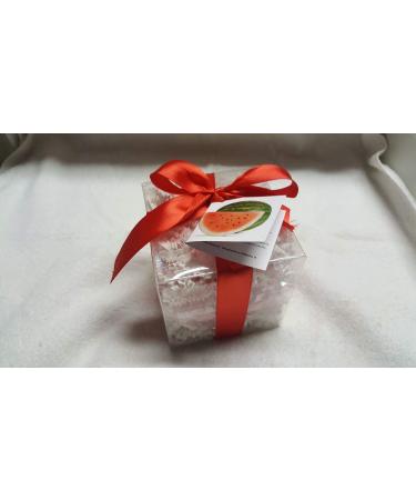 Spa Pure WATERMELON Bath Bombs: Gift Set with 14 1 oz  ultra-moisturizing  great for dry skin  makes a great gift