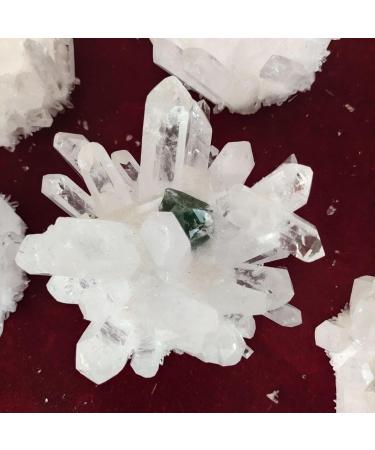 Natural Crystal Cluster Raw Quartz White Stones Crystal Point Specimen Home Decoration Raw Crystals NaturalCrystal QINTINYIN Home Goods - Buy Online on GoSupps.com