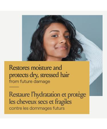 John Frieda Detox and Repair Conditioner for Dry Damaged Hair (250 mL) - Buy Online on GoSupps.com
