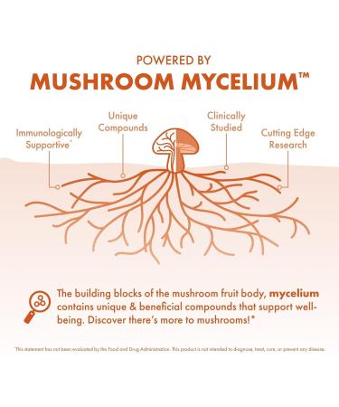 Host Defense Breathe* Powder - Immune & Respiratory Support Mushroom Supplement - Herbal Lung Health Support Supplement with Chaga Reishi & Cordyceps - 3.5 oz (66 Servings)* - Buy Online on GoSupps.com