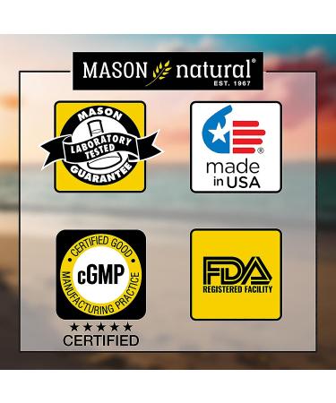 MASON NATURAL Ultra B-100 Complex 100 Tablets - Supports Healthy Heart, Nervous System, Immune Function & Energy Metabolism - Buy Online on GoSupps.com