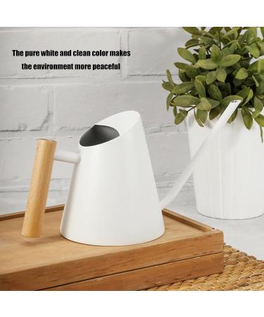 Arrosoir 900 ml avec long bec en acier inoxydable avec poign e en bois pour jardin int rieur et ext rieur Blanc - Buy Online on GoSupps.com