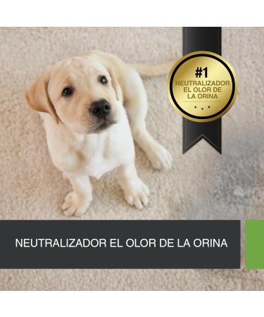 Buy Ecodor UF2000 4Pets Urine Odor Neutralizers Duo Pack (2x 500ml) - 100% Organic Powerful Formula for Dogs Cats & Small Animals - Buy Online on GoSupps.com
