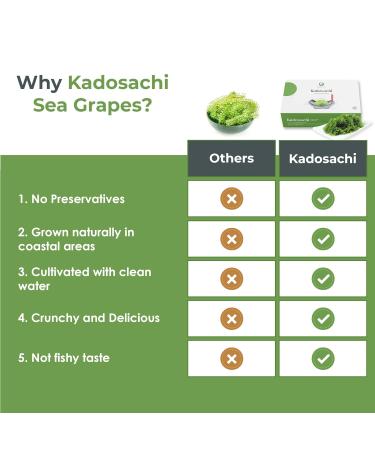 Kadosachi Dehydrated Sea Grapes 4.24 oz - Green Caviar Umibudo Seaweed | Organic Lato Seaweed for Skin & Immune System | 6 Pack Box - Buy Online on GoSupps.com