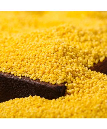 Millet Yellow millet17.6oz Hulled Gluten Free Raw Sun-Dried Millet Whole Grain  - Buy Online on GoSupps.com