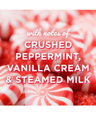 Glade Jar Candles | Essential Oil Infused Air Fresheners | Multiple Scents Available - Candy Cane Cheer & Peppermint - 3.4 Oz - Buy Online on GoSupps.com