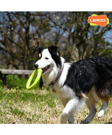 Laroo Dog Frisbee & Fitness Ring - Water Toy for Small Dogs | 18cm Green - Perfect for Summer Training - Buy Online on GoSupps.com