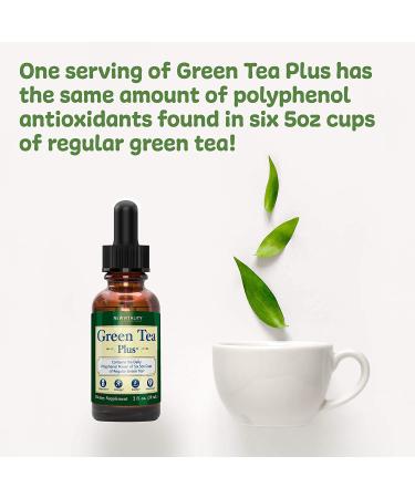 Green Tea Extract Supplement - Healthy Metabolism Boost & Natural Energy | Decaf, Immune Support & Antioxidants - 2oz - Buy Online on GoSupps.com
