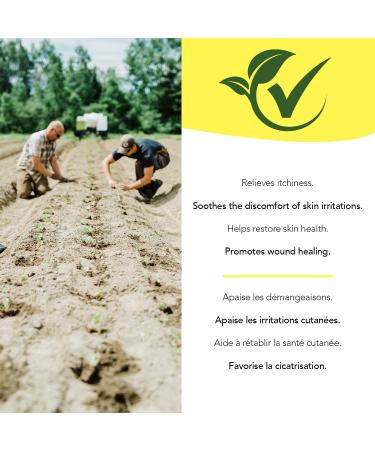 St. Francis Herb Farm Skin Healing Salve | 60 ml | Red Clover Plus Salve | Eczema and Psoriasis Remedy | Skincare Wound-healing | Anti-itch Salve | Made in Canada - Buy Online on GoSupps.com