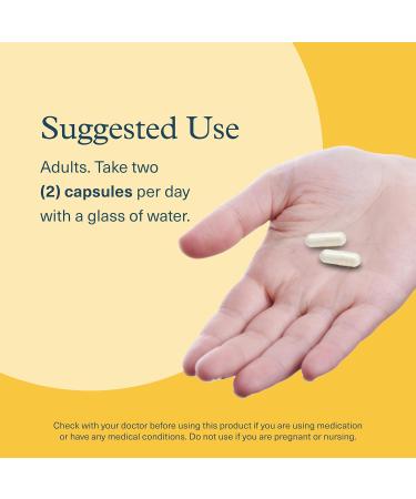 Youtheory Shilajit Advanced Capsule 90 Vegetarian Capsules - Buy Online on GoSupps.com