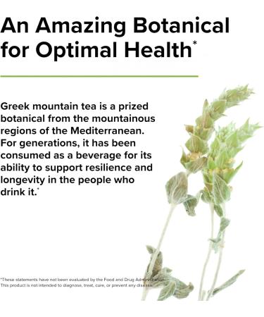 Terry Naturally GMT23 Greek Mountain Tea - 30 Capsules for Optimum Health | Non-GMO Vegan No Bacopa - Shop Internationally - Buy Online on GoSupps.com