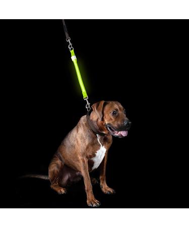 Furhaven Pet Hands-Free Bungee Dog Leash with LED Collar and Safety Features - Multiple Colors and Sizes - Buy Online on GoSupps.com